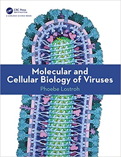  دانلود کتاب Molecular And Cellular Biology Of Viruses, 2019 - دانلود کتاب های دانشگاهی