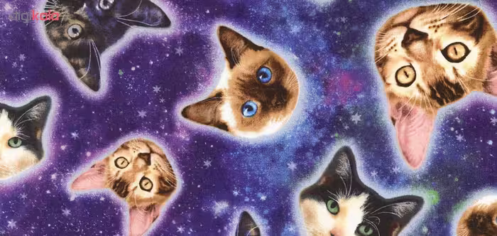 ماگ طرح kitty