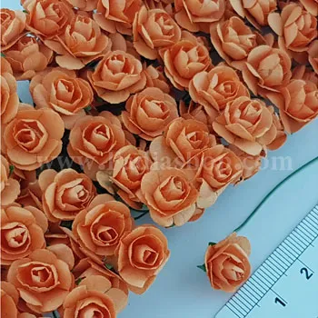 گل رز کوچک نارنجی