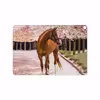 برچسب پوششی ماهوت مدل Horse-1 مناسب برای تبلت ایسوس Zenpad 3S 10 2017 Z500KL