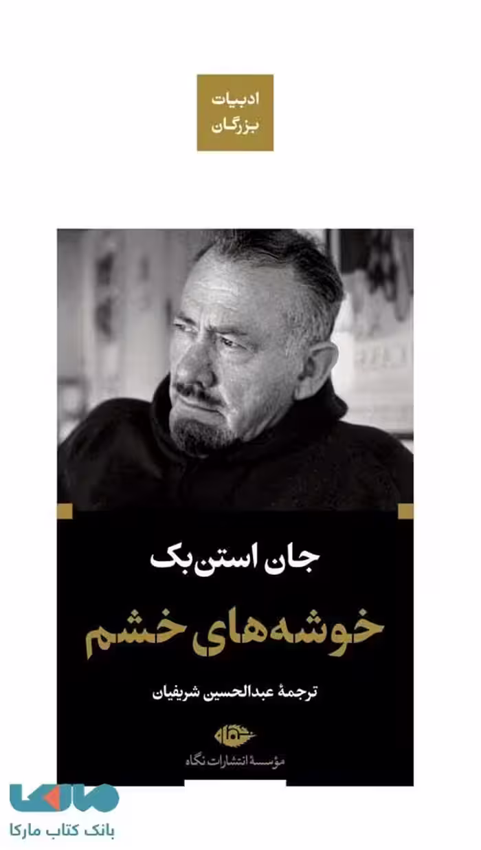 خوشه های خشم (ادبیات بزرگان) موسسه انتشارات نگاه