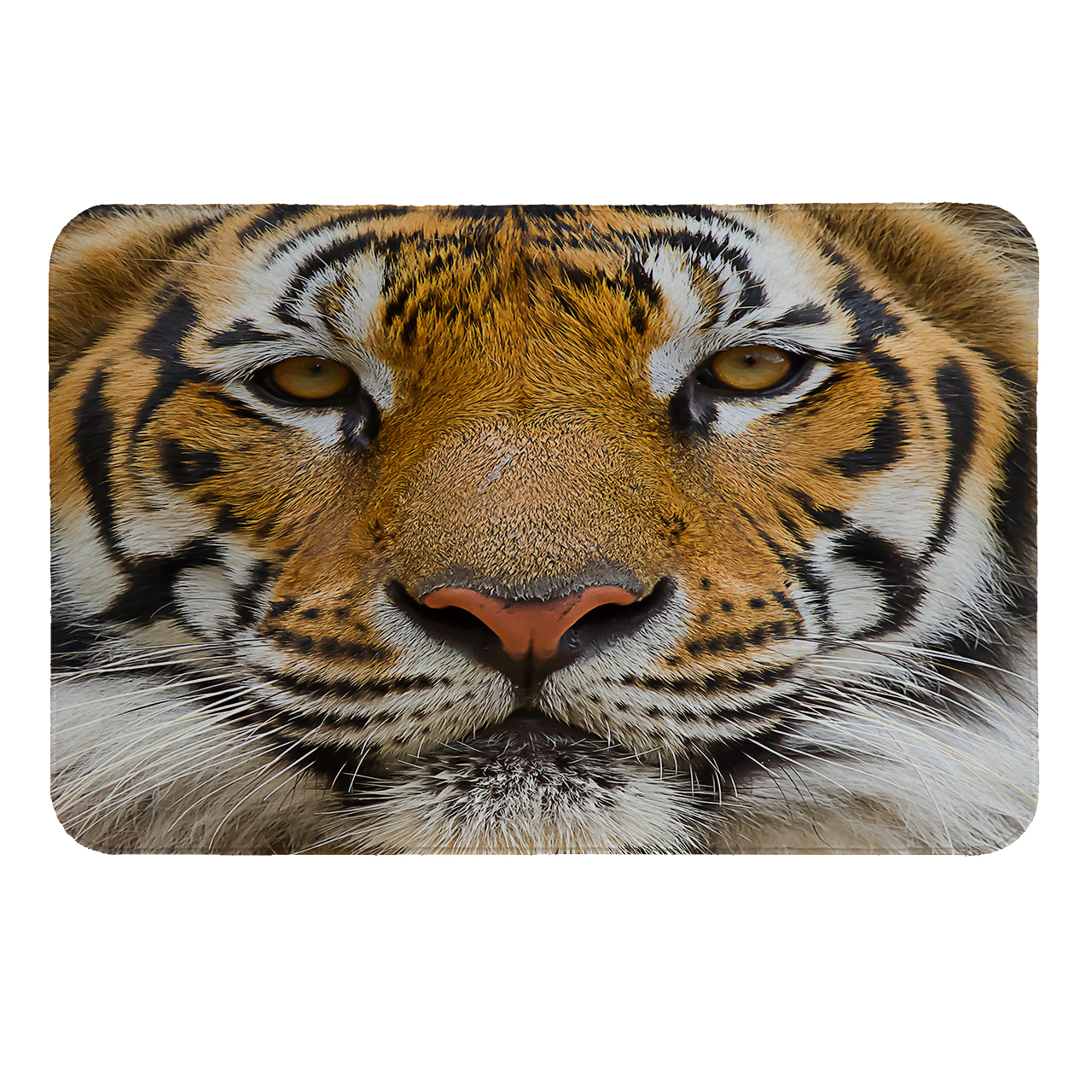 رطوبت گیر کنار سینک کد 6199