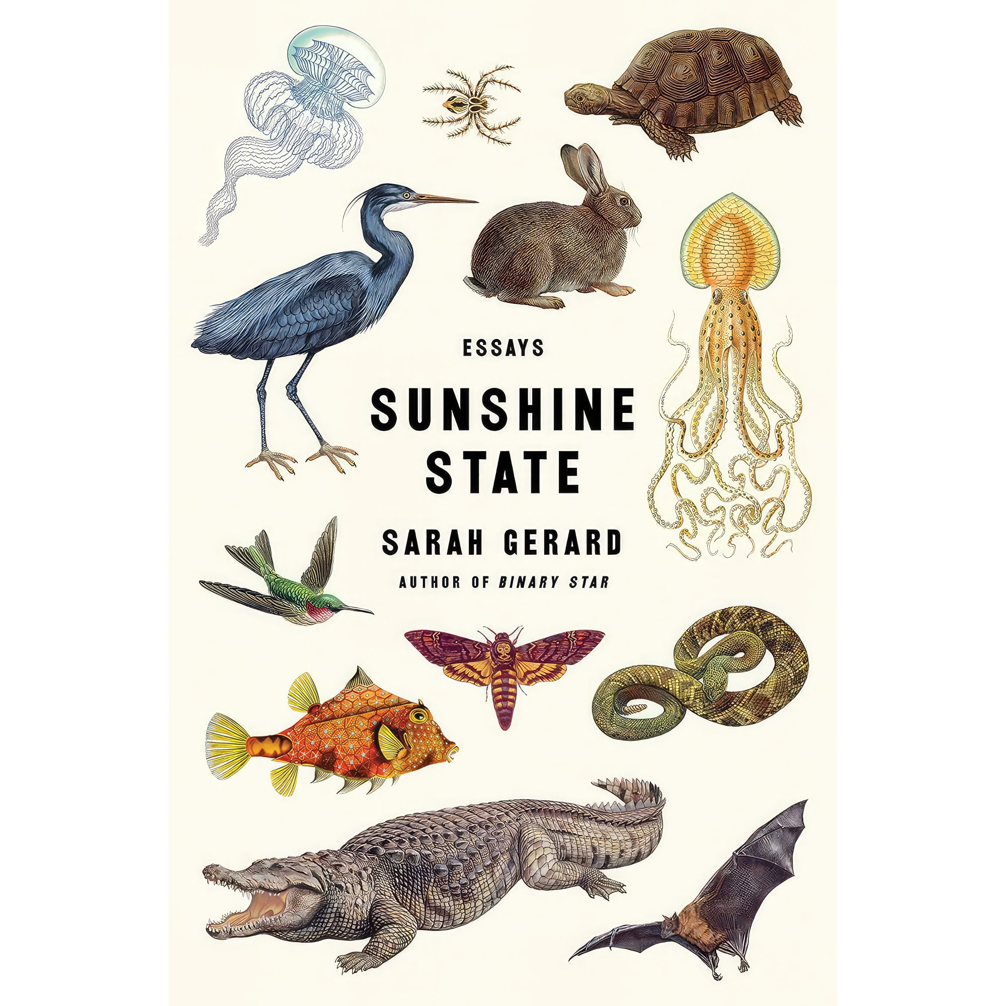 کتاب Sunshine State اثر Sarah Gerard انتشارات Harper Perennial