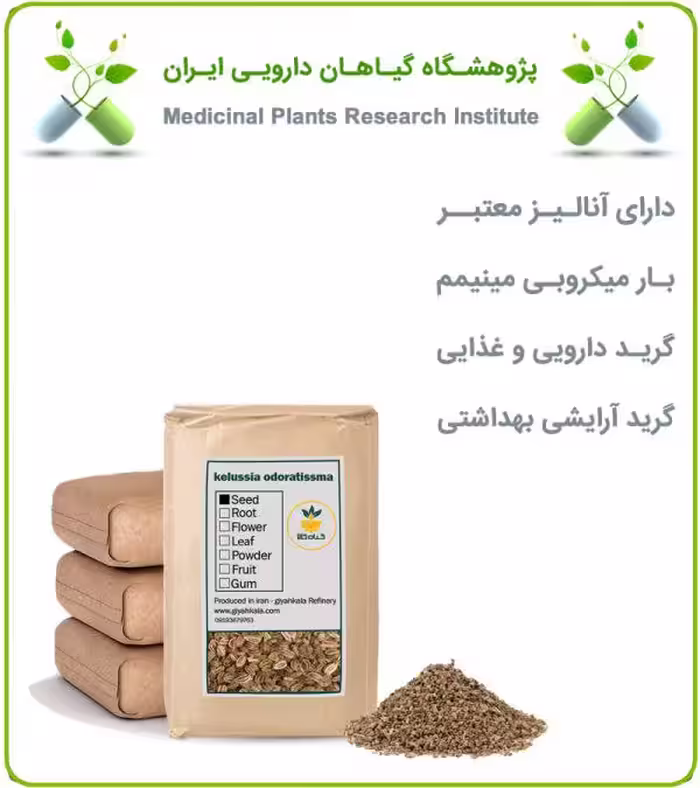 بذر کرفس خشک فله