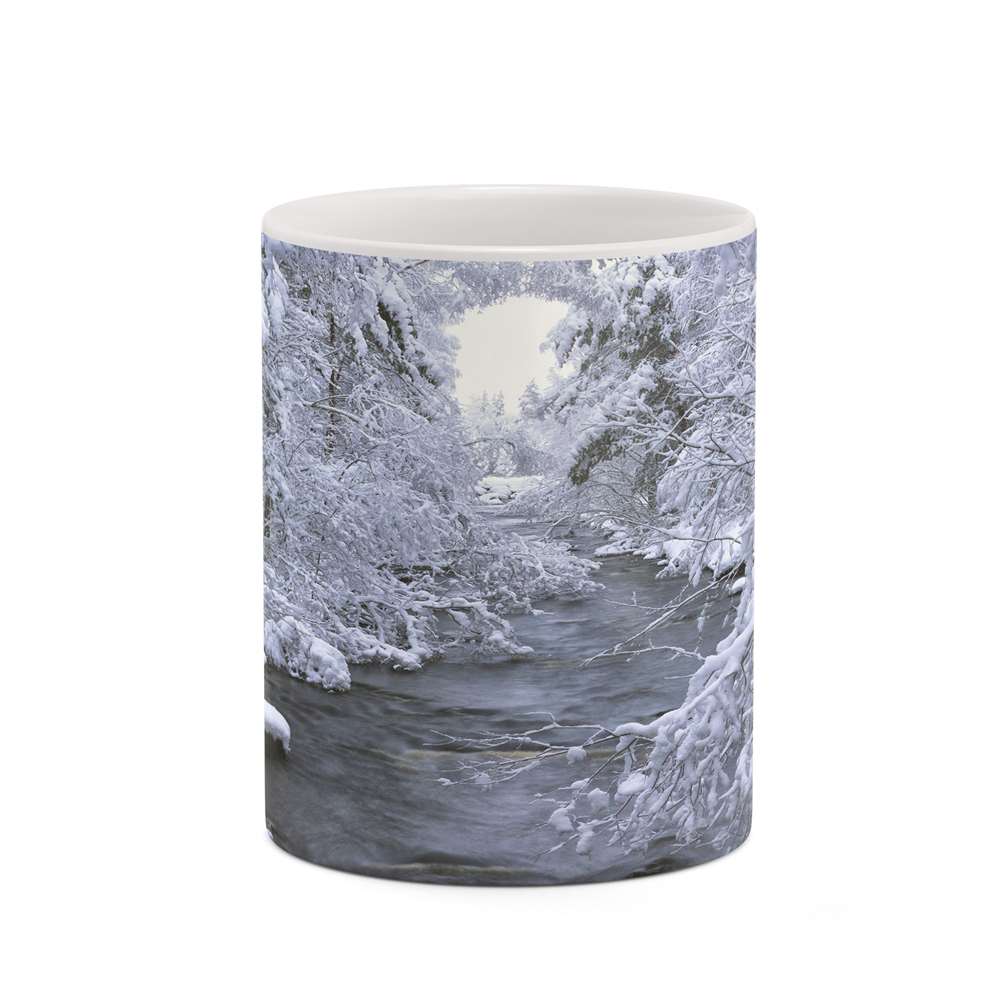 ماگ کاکتی طرح منظره برفی مدل mgh18523