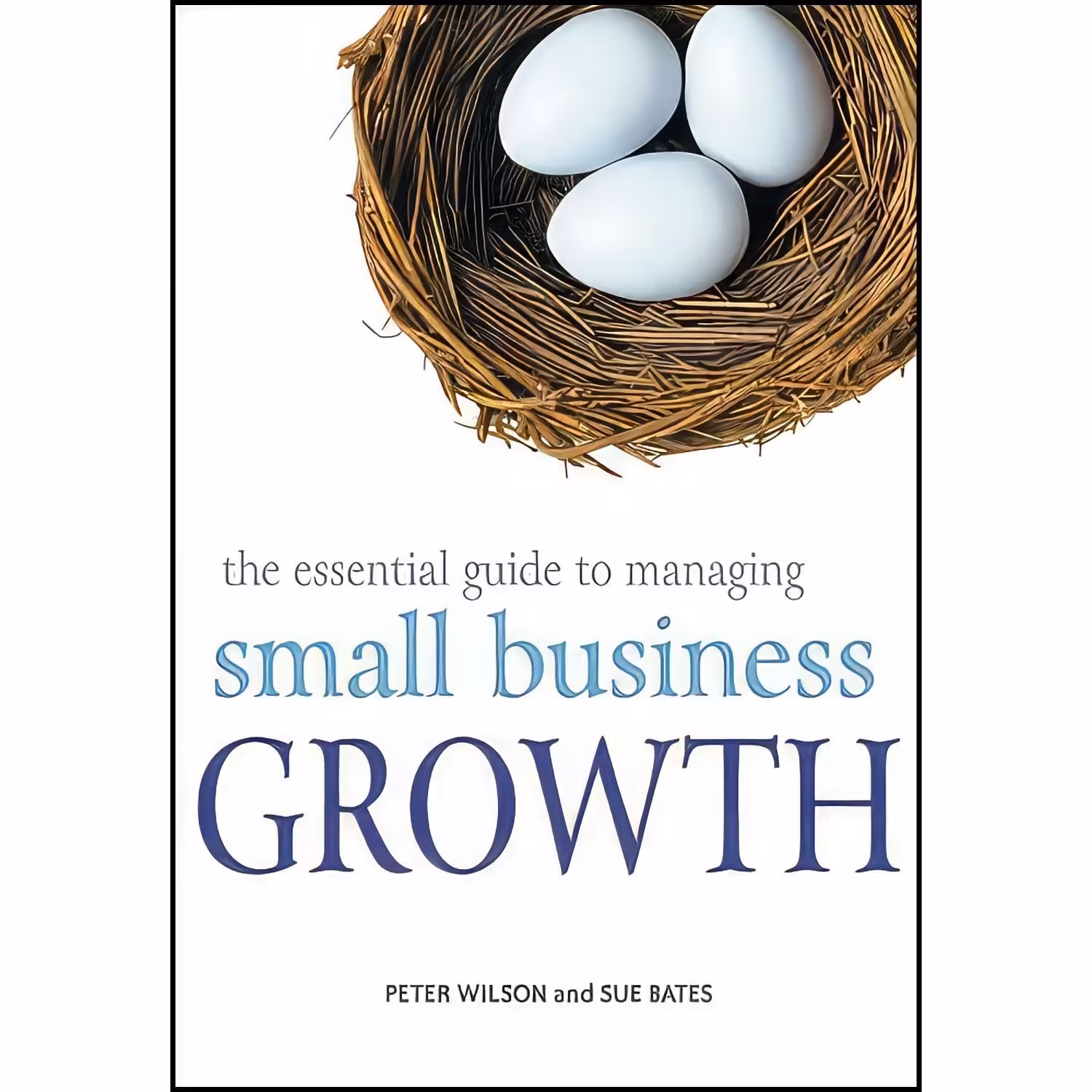 کتاب زبان اصلی The Essential Guide to Managing Small Business Growth