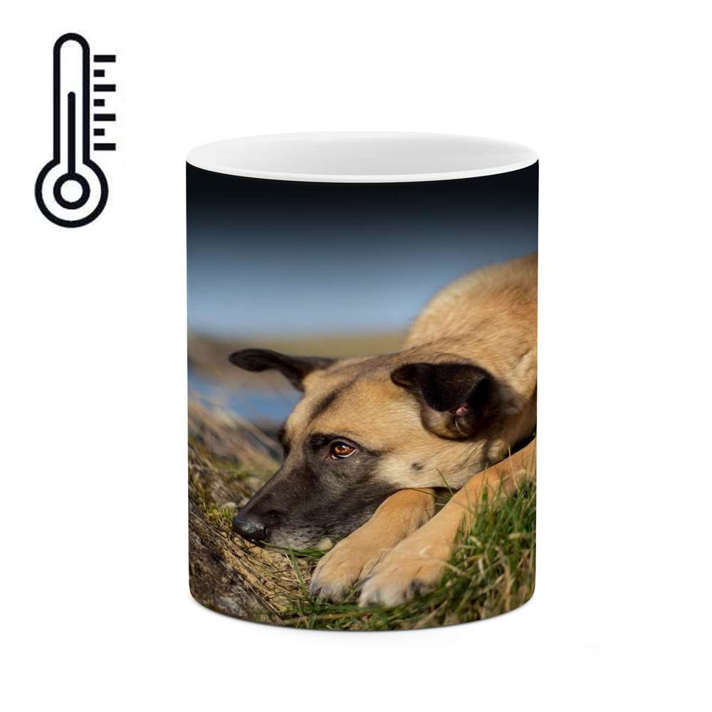 ماگ حرارتی کاکتی طرح سگ مدل mgh14279