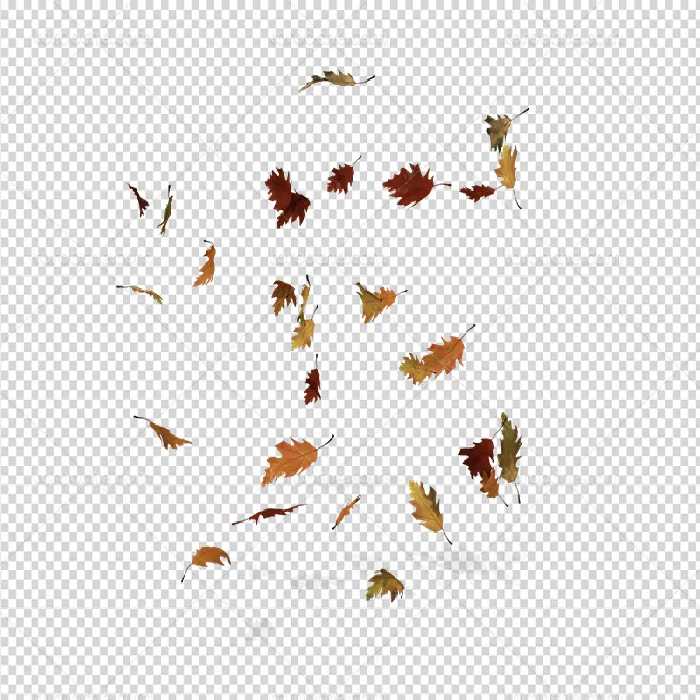 عکس برگ های پاییزی PNG | گرافیک با طعم تربچه