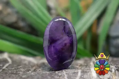 امتیست تراپیچ