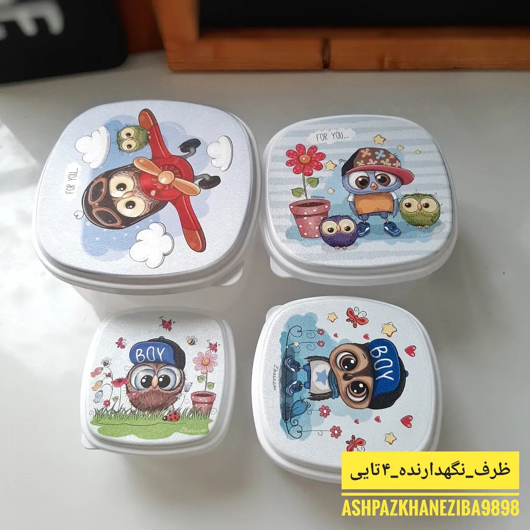 ظرف نگهداری غذا و فریزری درب دار 4 تیکه پلاستیکی