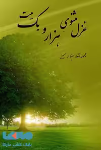 غزل مثنوی هزار و یک بیت نشر به نگار