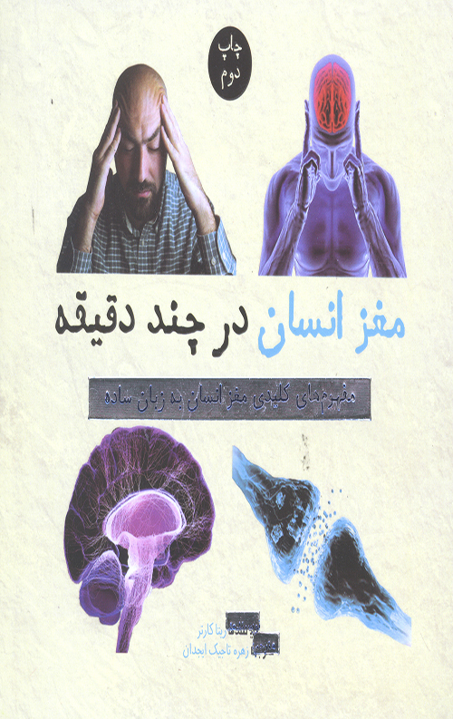 مغز انسان در چند دقیقه