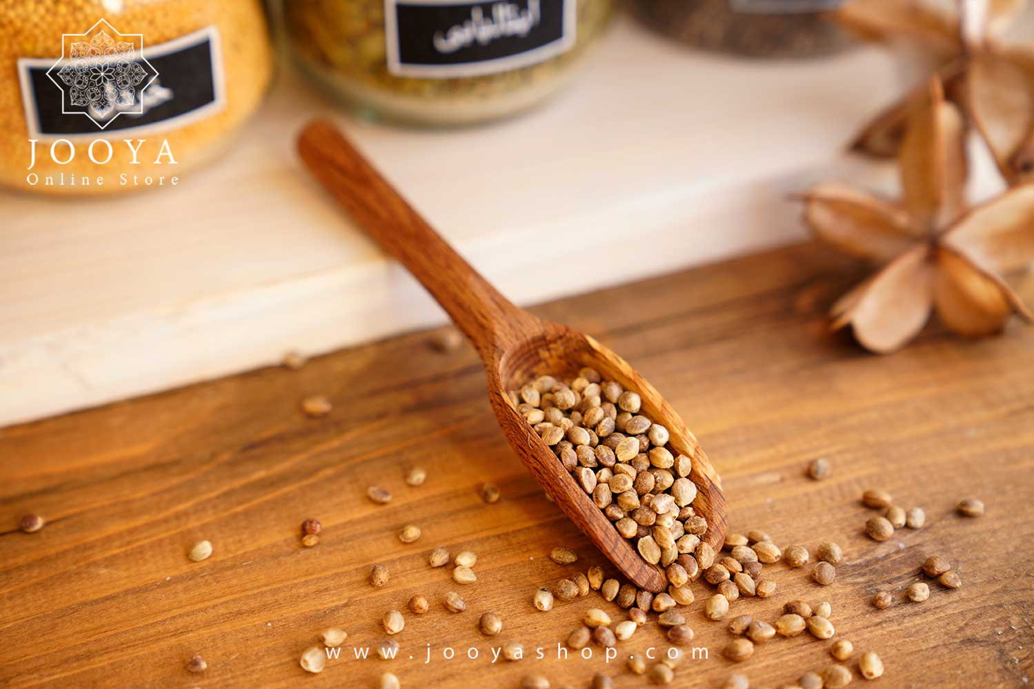 قاشق ادویه سوک متوسط با چوب راش