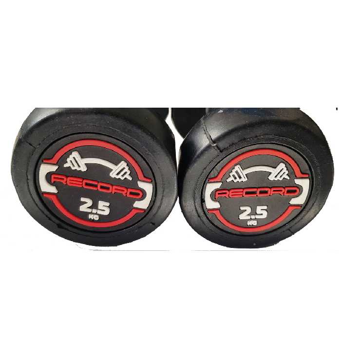 دمبل رکورد مدل new وزن 2.5 کیلوگرم مجموعه 2 عددی