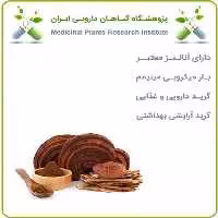 عصاره گانودرما خشک (پودری)