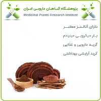 عصاره گانودرما خشک (پودری)