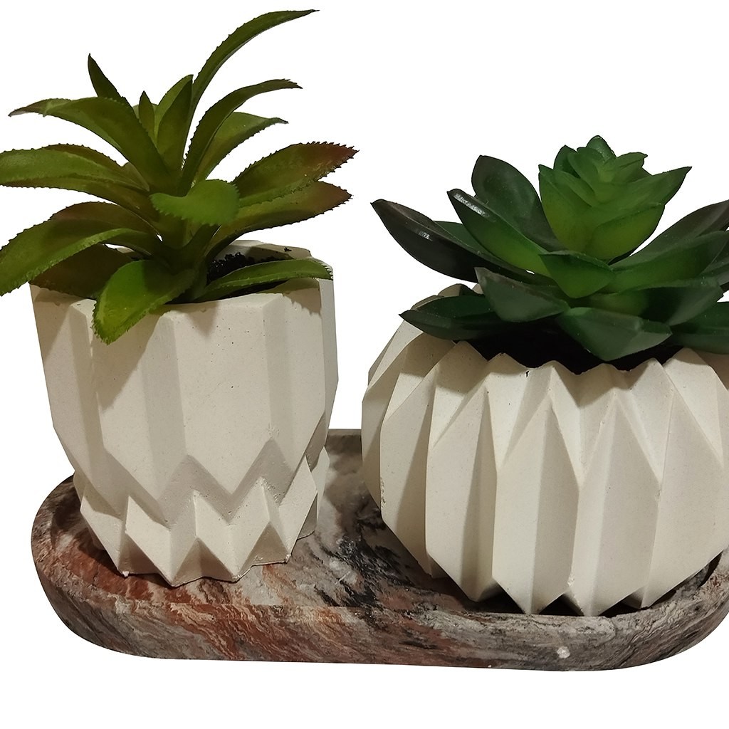 گلدان کاکتوس بتنی 2 تایی کد 21412