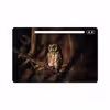 برچسب پوششی ماهوت مدل Owl مناسب برای تبلت سامسونگ Galaxy Tab S6 2019 SM-T865