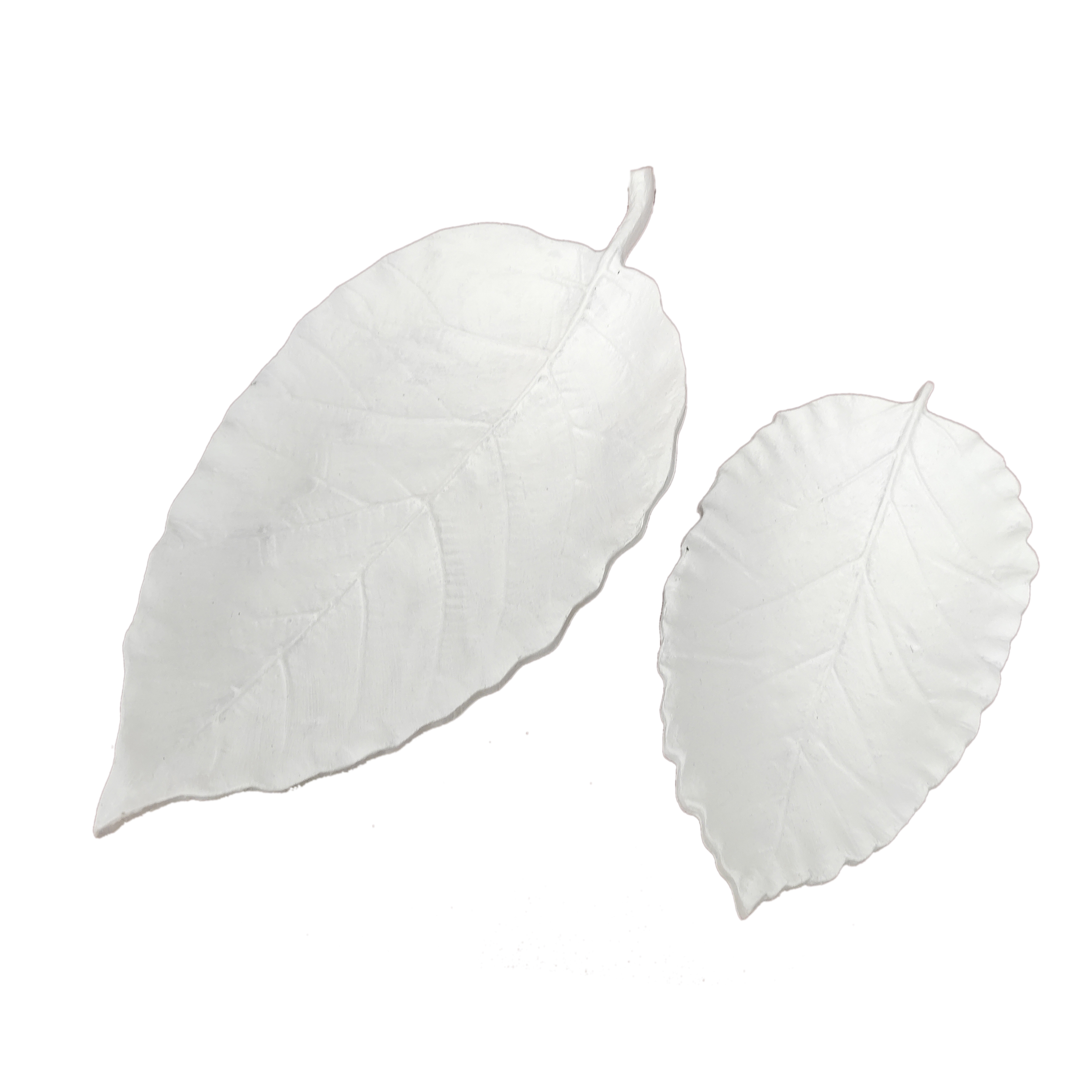 شکلات خوری طرح برگ مدل SH2030 مجموعه 2 عددی