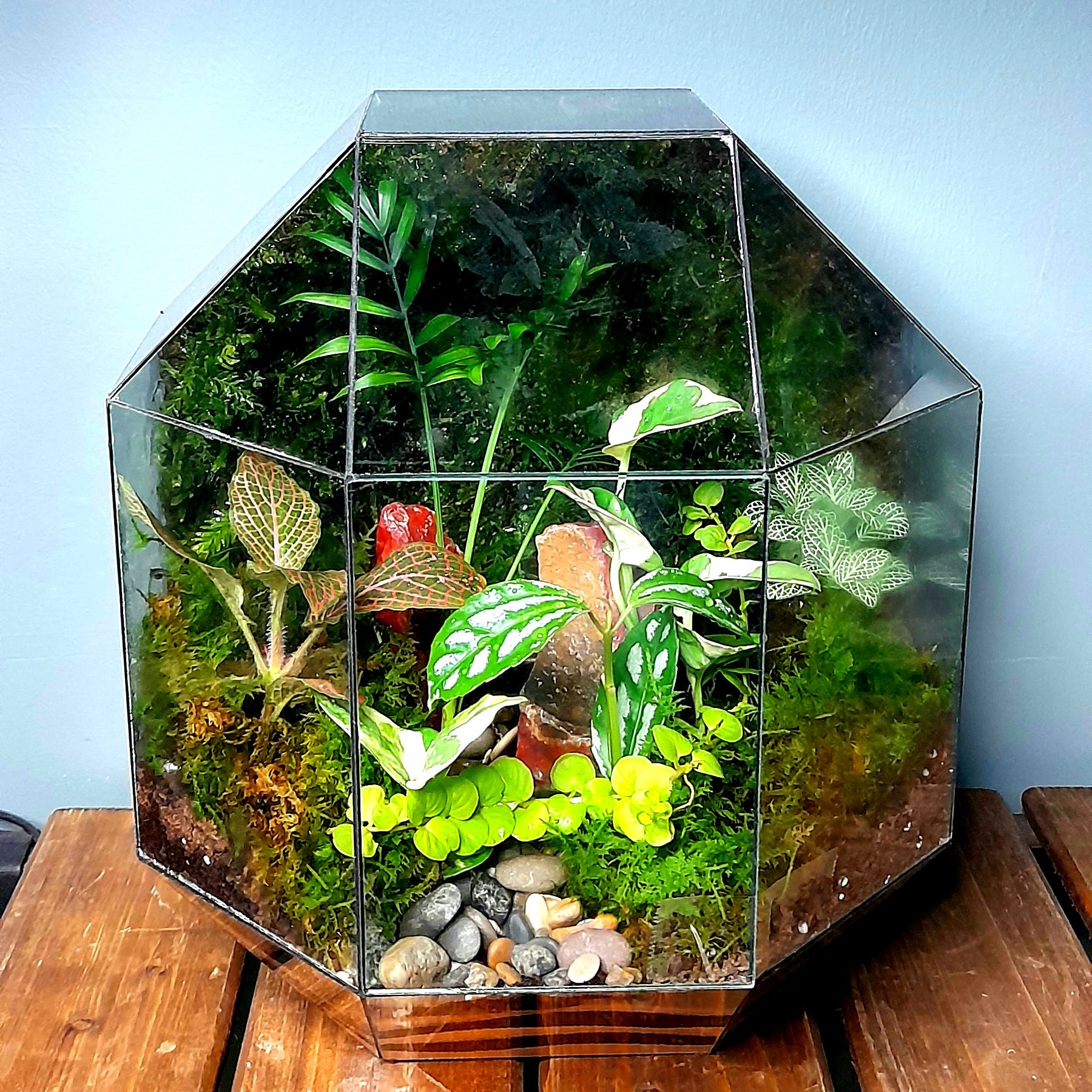 تراریوم موساریوم شیشه چندوجهی هدیه