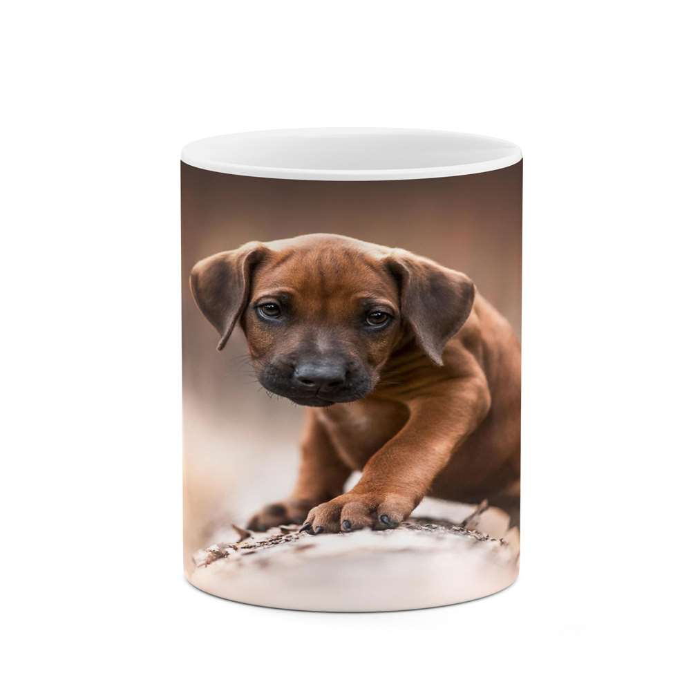 ماگ کاکتی طرح سگ مدل mgs16300