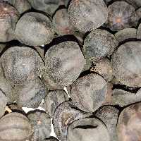 لیمو عمانی  لیمو امانی سیاه 100گرمی