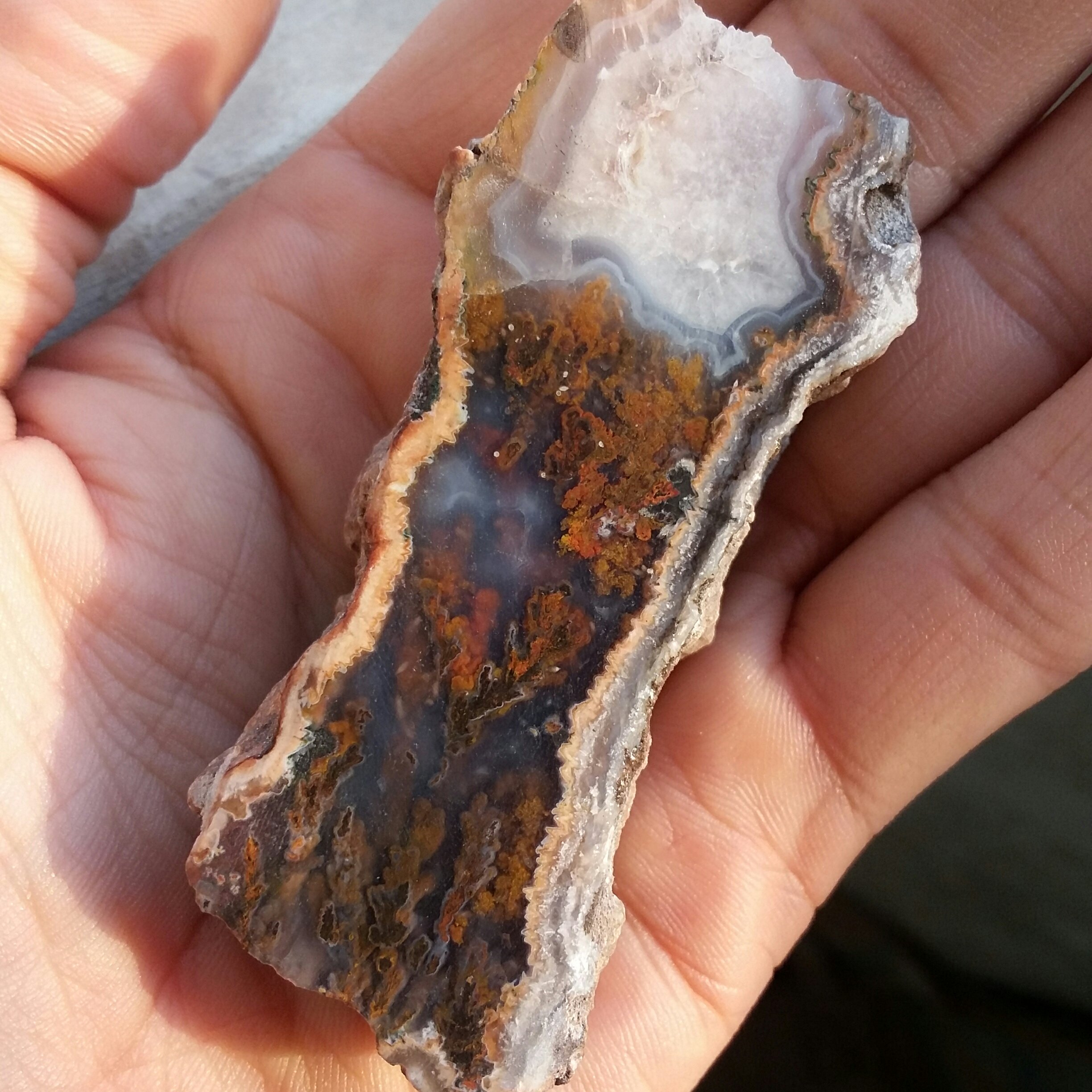 اسلایس سنگ راف شجر دریایی 7رنگ بینظیر شاهکار خلقت 100 در 100 طبیعی
تابلو نقاشی تکرار نشدنی خاااص