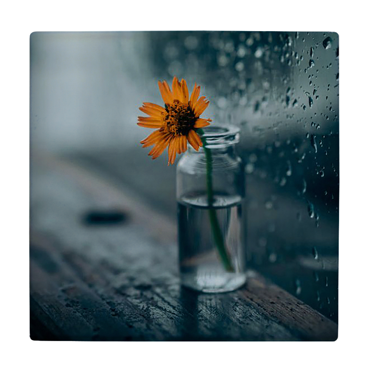 کاشی کارنیلا طرح گل در بطری شیشه ای مدل لوحی کد klh298