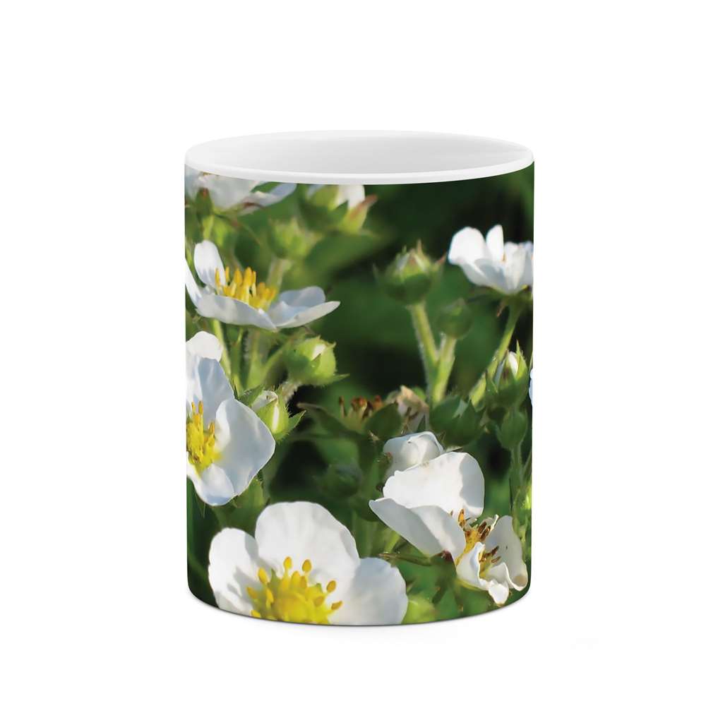 ماگ طرح گل مدل mgs06827