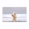 برچسب پوششی ماهوت مدل Polar bear مناسب برای تبلت مایکروسافت Surface 2 RT 2013