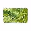 برچسب پوششی ماهوت مدل Green Crystal Marble مناسب برای تبلت سامسونگ Galaxy Tab E 9.6 2015 T561