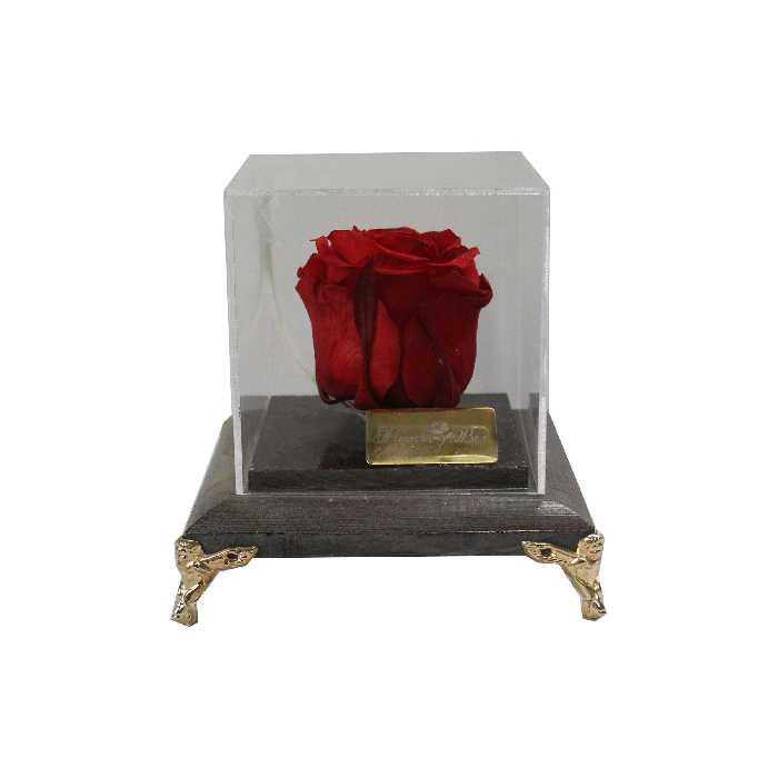 گل رز جاودان مدل پایه فرشته