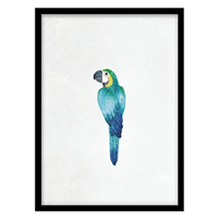 قیمت و خرید تابلو دکوراتیو اتاق کودک مدل طوطی کد 1640