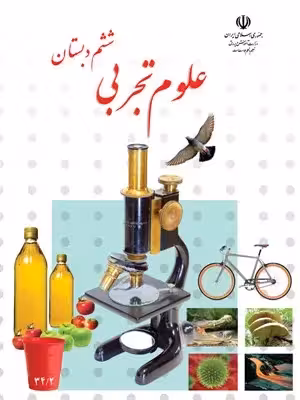 دانلود آزمون تستی علوم | درس 6: ورزش و نیرو (1) و درس 7: ورزش و نیرو (2) پایه ششم (80 سوال) با پاسخنامه