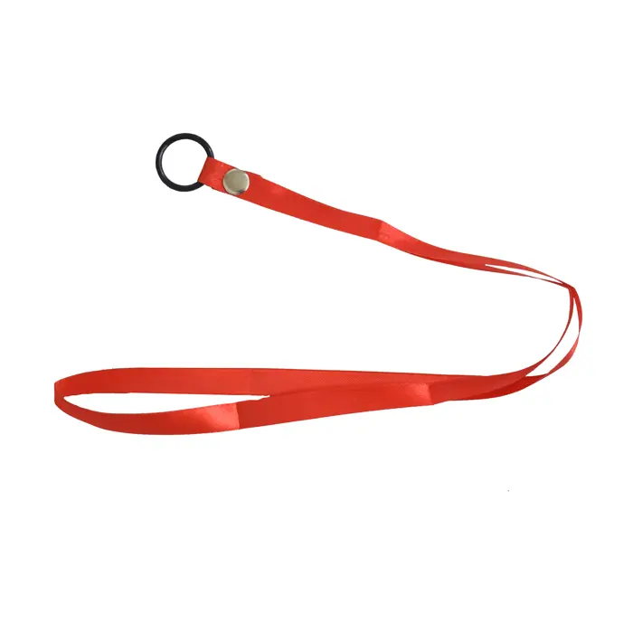 بند فلوت ریکوردر مدل HARMONY