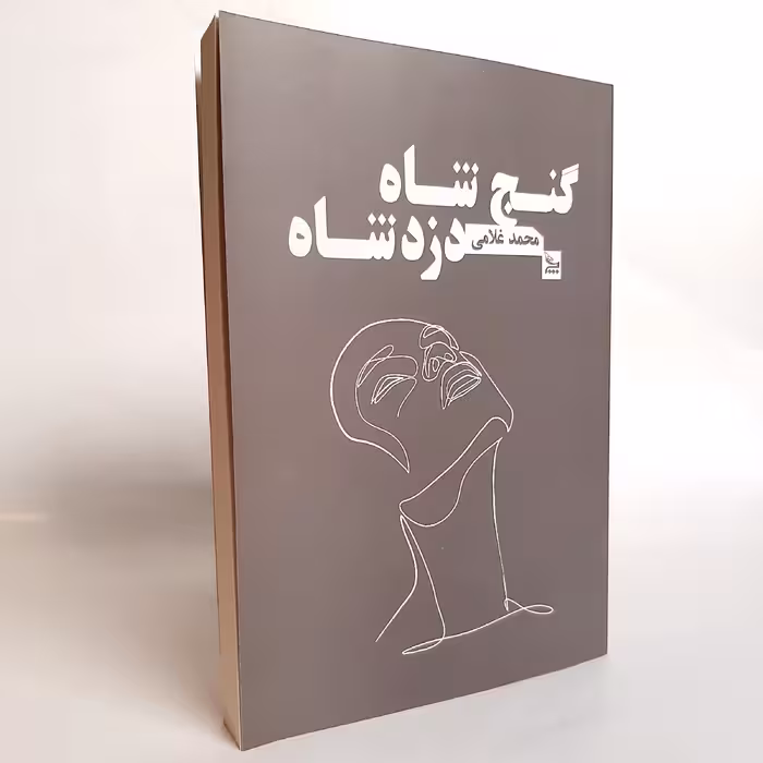 کتاب گنج شاه دزد شاه اثر محمد غلامی نشر چلچله