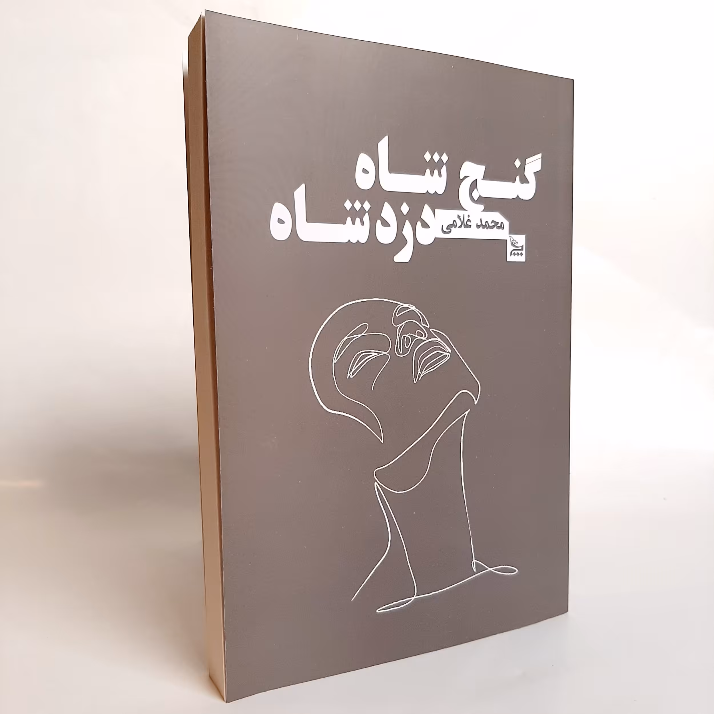 کتاب گنج شاه دزد شاه اثر محمد غلامی نشر چلچله