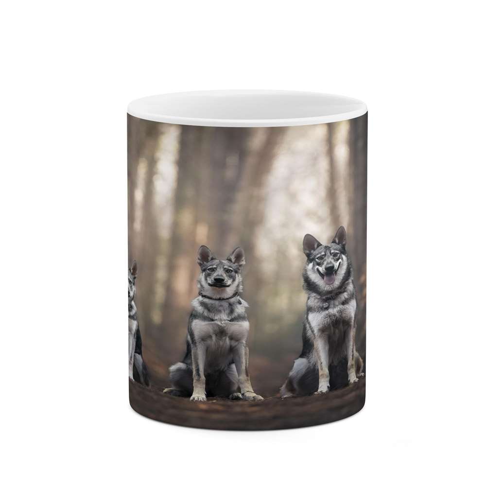 ماگ کاکتی طرح گرگ مدل mgs16714