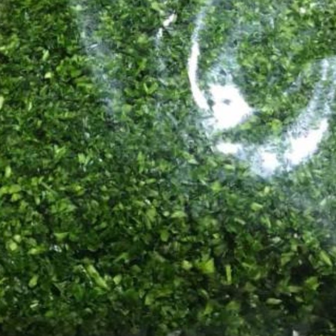 سبزی اسفناج(مخصوص خورشت ریز خرد شده)