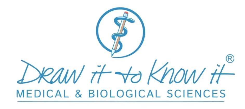 Draw it to know it 2019 By Subject - کتاب پزشکی بهار