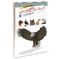 کتاب شگفتی های جهان پرندگان شکاری اثر سابین بوکادور انتشارات محراب قلم
