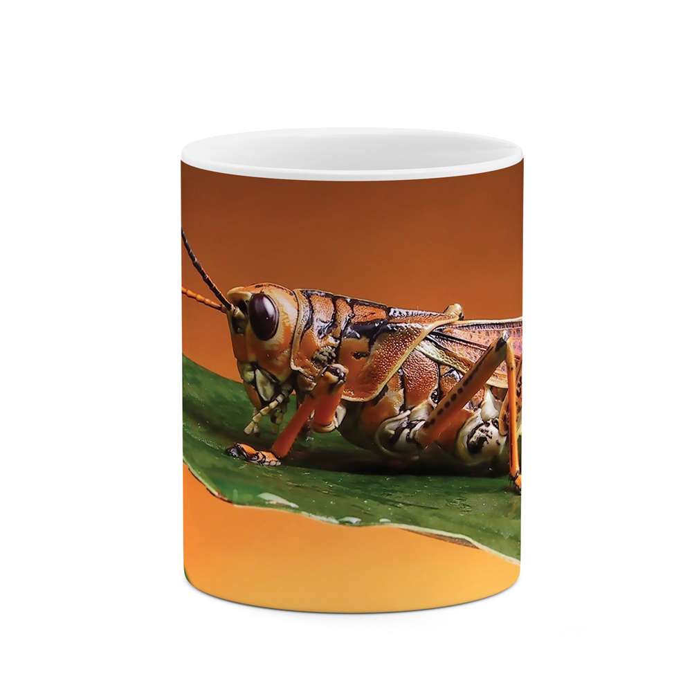 ماگ طرح ملخ مدل mgs10081