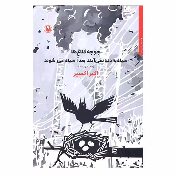 کتاب جوجه کلاغ ها سیاه به دنیا نمی آیند بعدا سیاه می شوند اثر اکبر اکسیر انتشارات مروارید