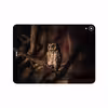 برچسب پوششی ماهوت مدل Owl مناسب برای تبلت اپل iPad Pro 11 2018 A2013