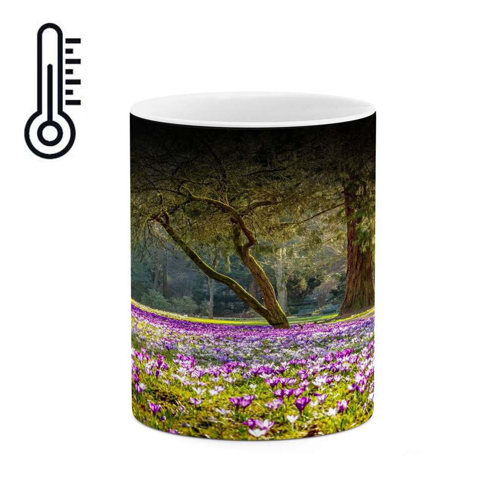 ماگ حرارتی کاکتی طرح منظره مدل mgh15324