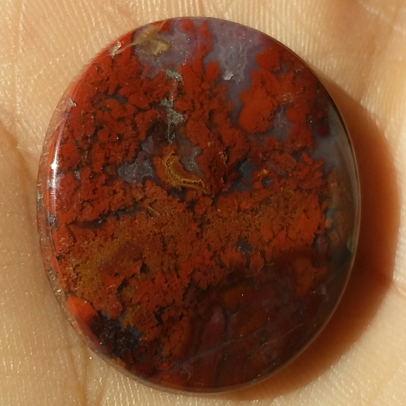 نگین شجر پاییزی 7 رنگ بسیار دیدنی و شکیل سایز درشت مدالی خااص