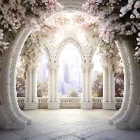 بک دراپ عکاسی با گل های سفید | گرافیک با طعم تربچه