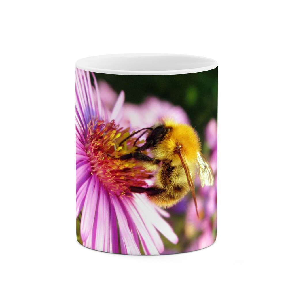 ماگ طرح گل مدل mgs12093