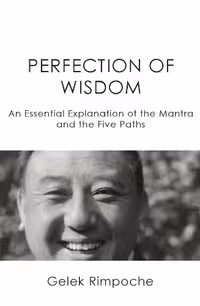خرید و دانلود نسخه کامل کتاب Perfection of Wisdom: An Essential Explanation of the Mantra and the Five Paths -   pdf | الی فایل | مرجع خرید و فروش فایل