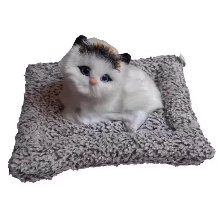 عروسک مدل گربه خوابیده روی تشک کد 03 طول 20 سانتی متر | چاوه